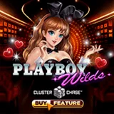 Bocoran RTP Slot Microgaming Playboy Wilds